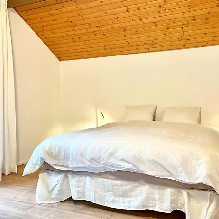 Relaxed Loft Between & Mountains Appartamento Leissigen